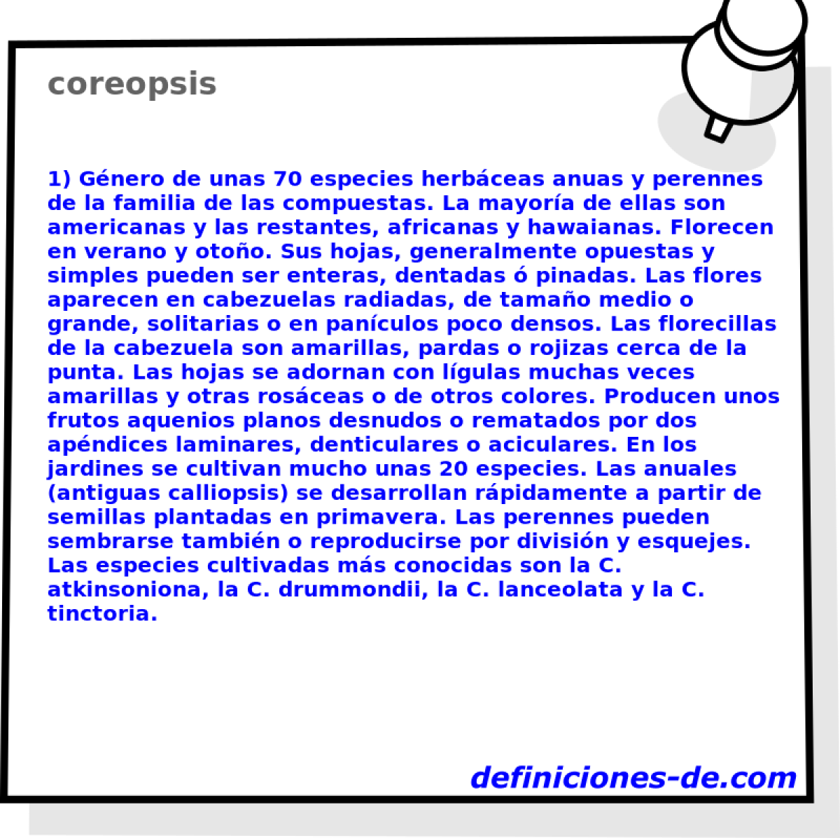 coreopsis 