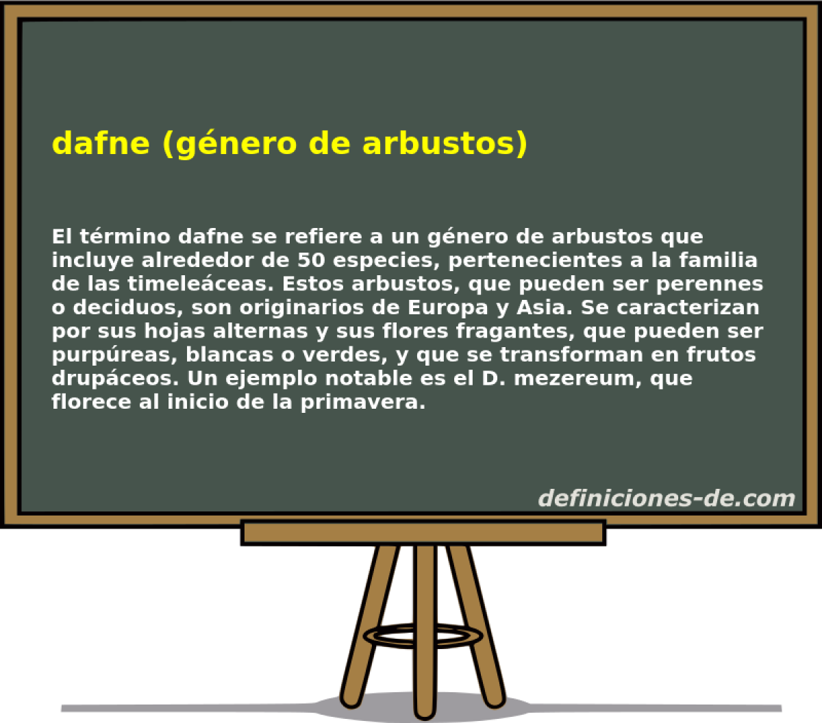 dafne (género de arbustos) 