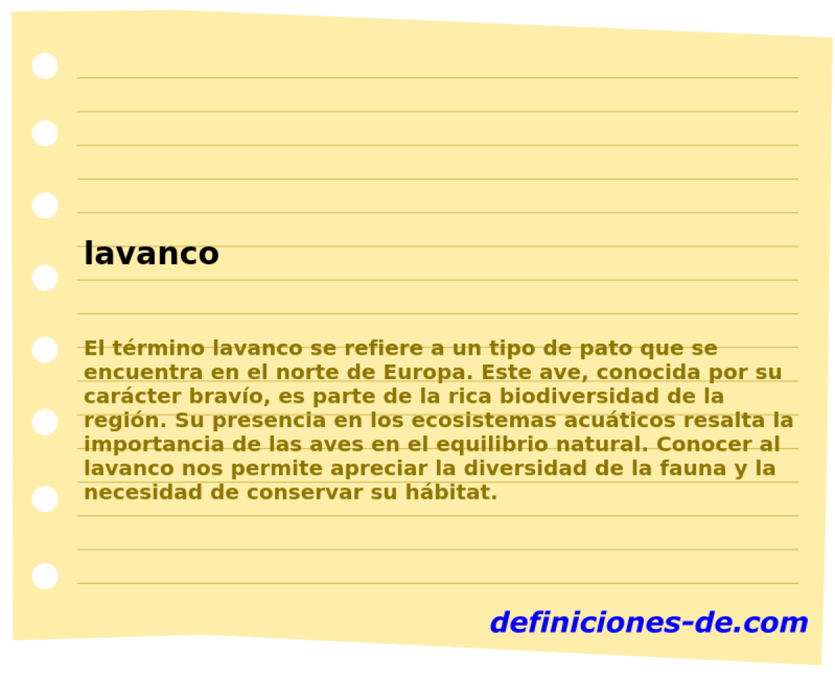 lavanco 