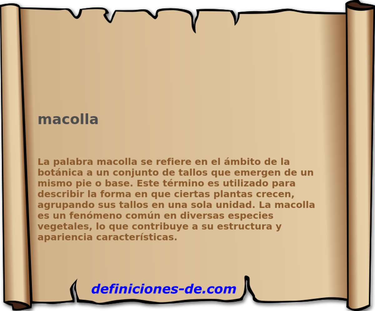 macolla 