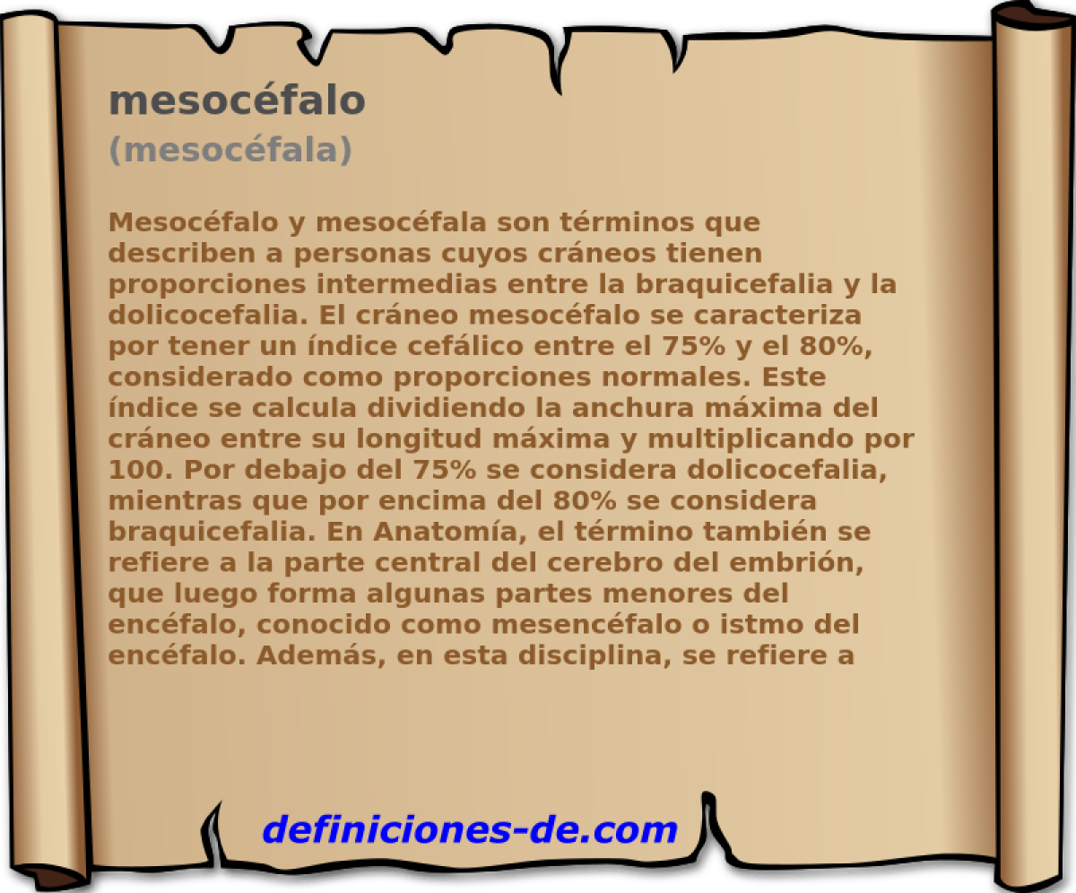 mesocfalo (mesocfala)