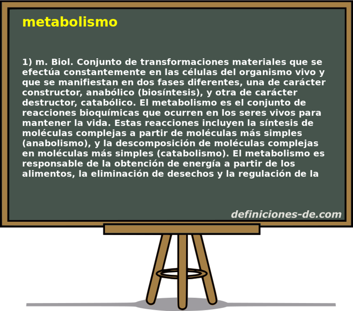 metabolismo 