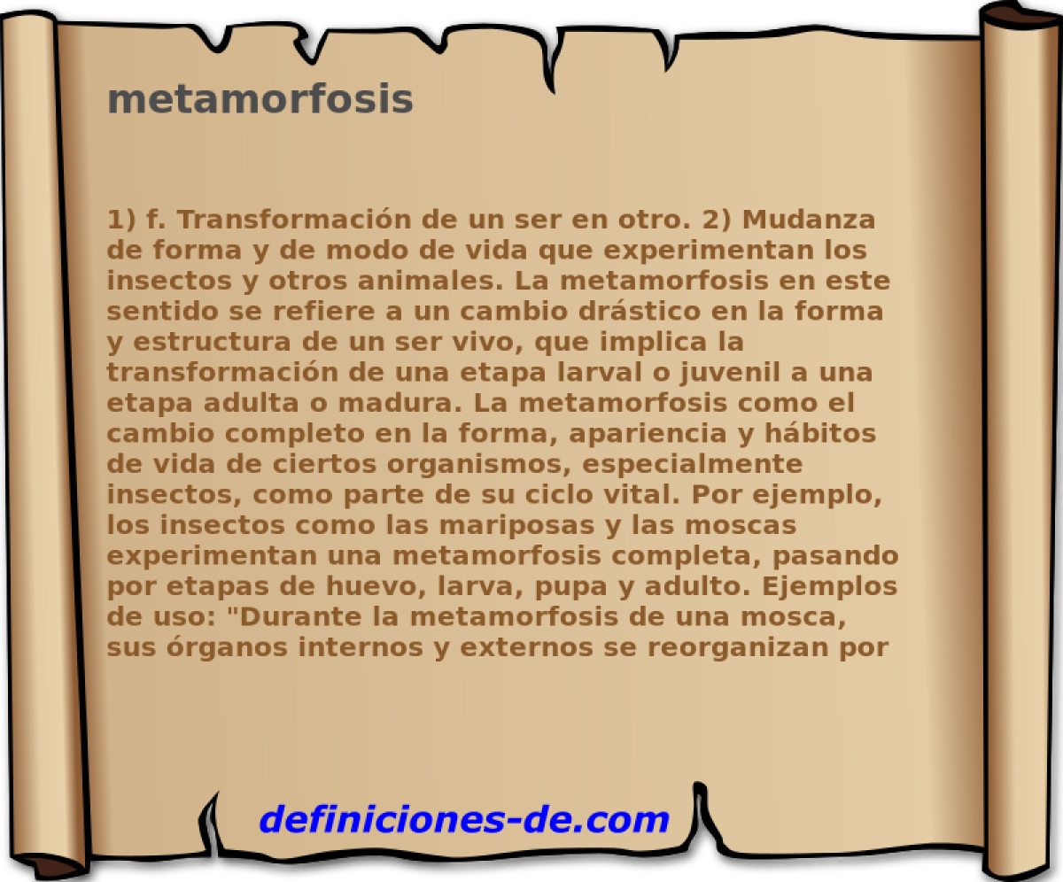 metamorfosis 