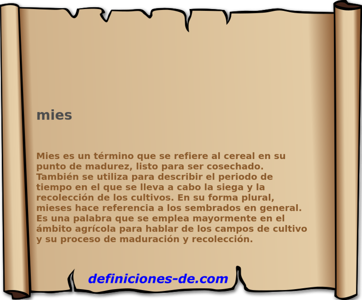 mies 