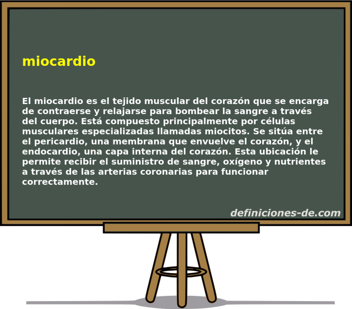 miocardio 