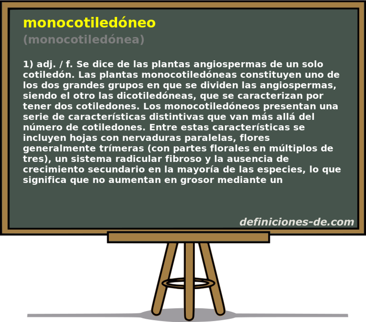 monocotiledneo (monocotilednea)