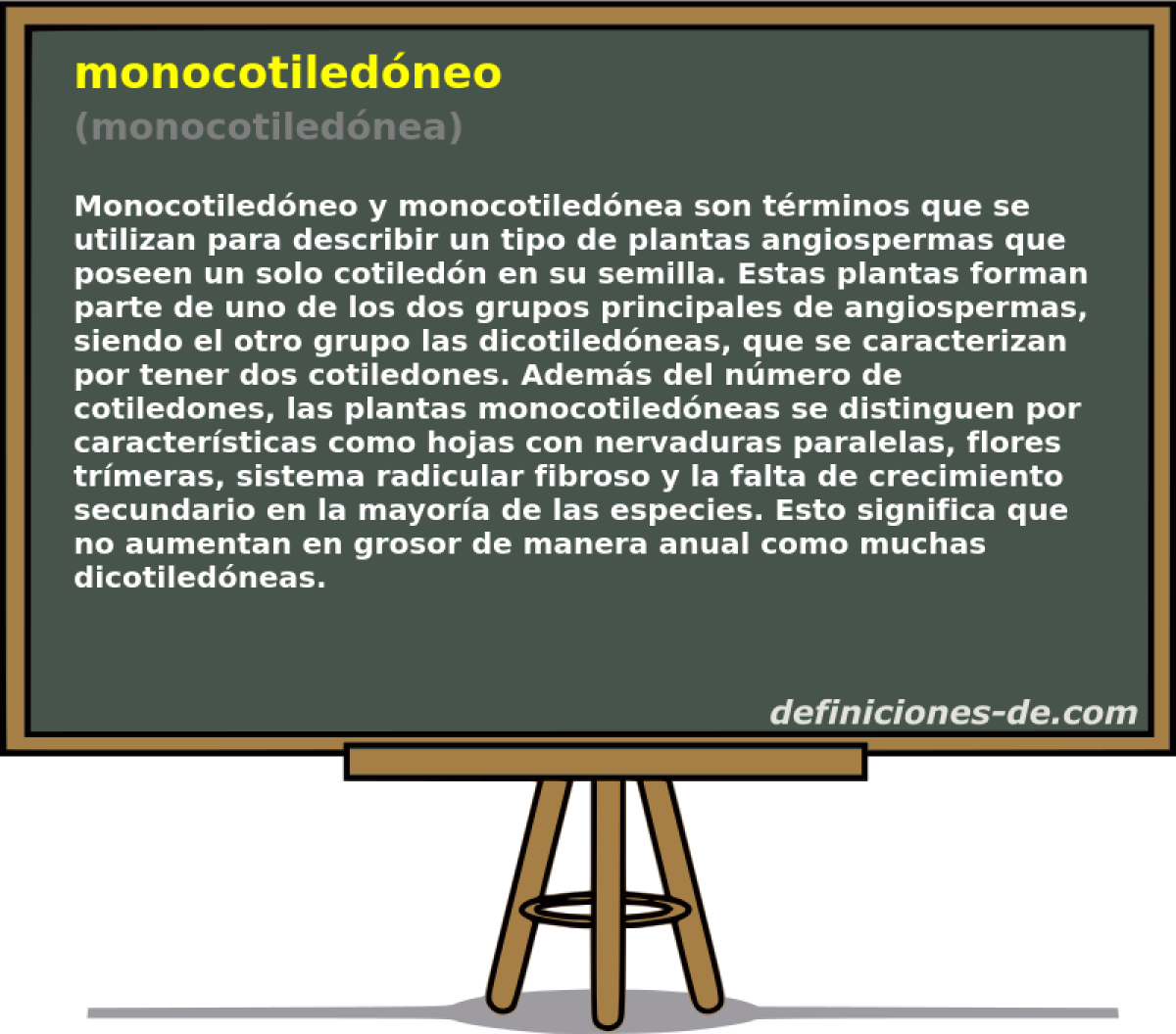 monocotiledneo (monocotilednea)