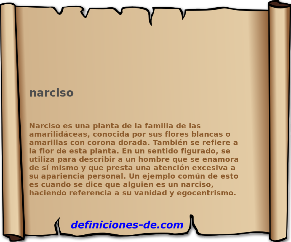 narciso 