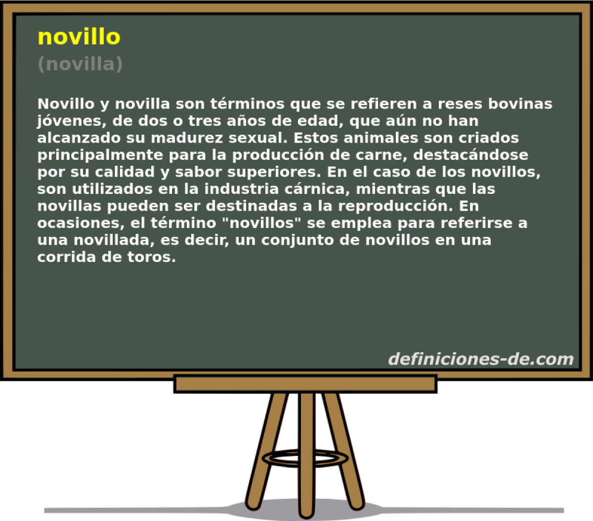 novillo (novilla)