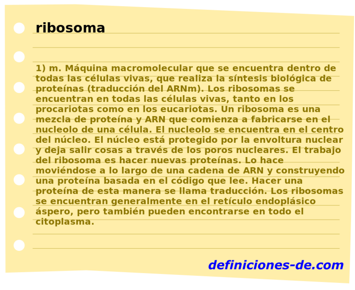 ribosoma 
