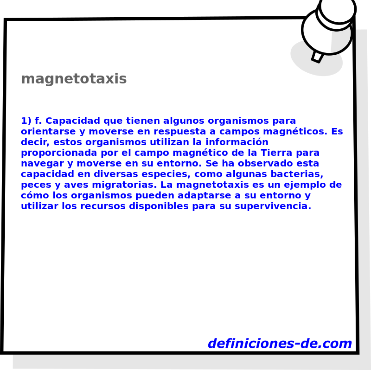 magnetotaxis 