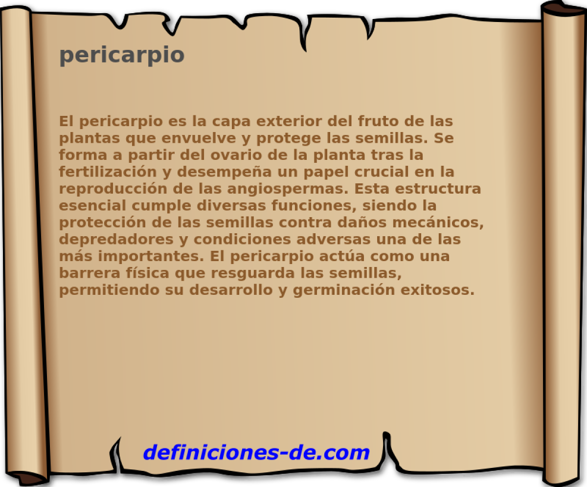 pericarpio 