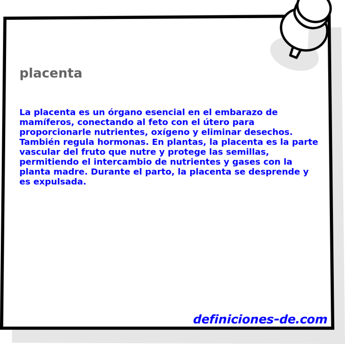 placenta 