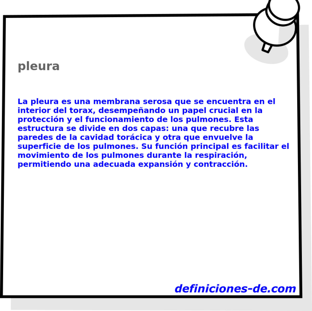 pleura 