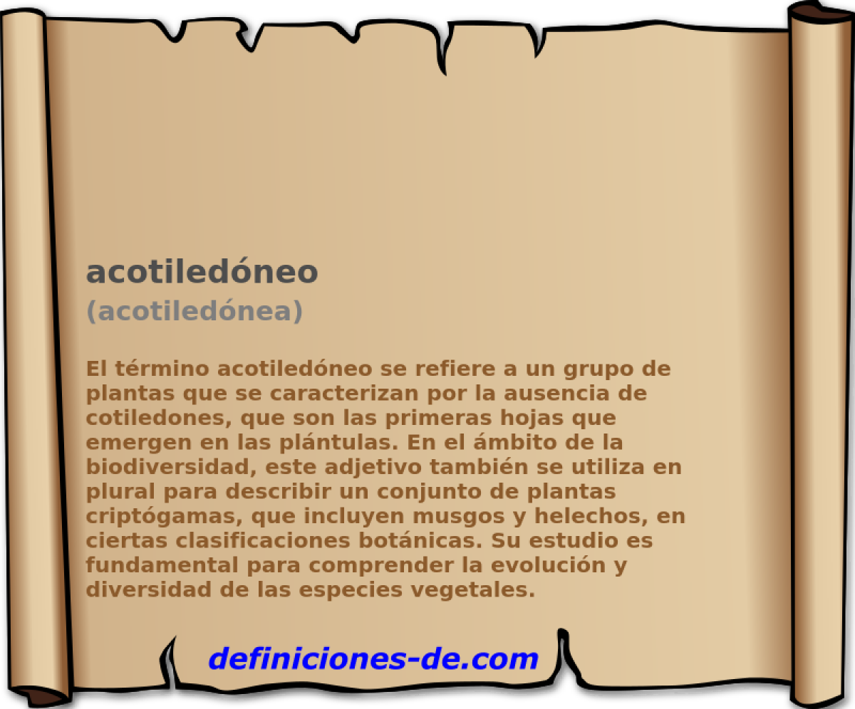 acotiledneo (acotilednea)