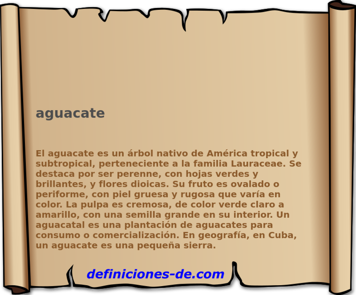 aguacate 