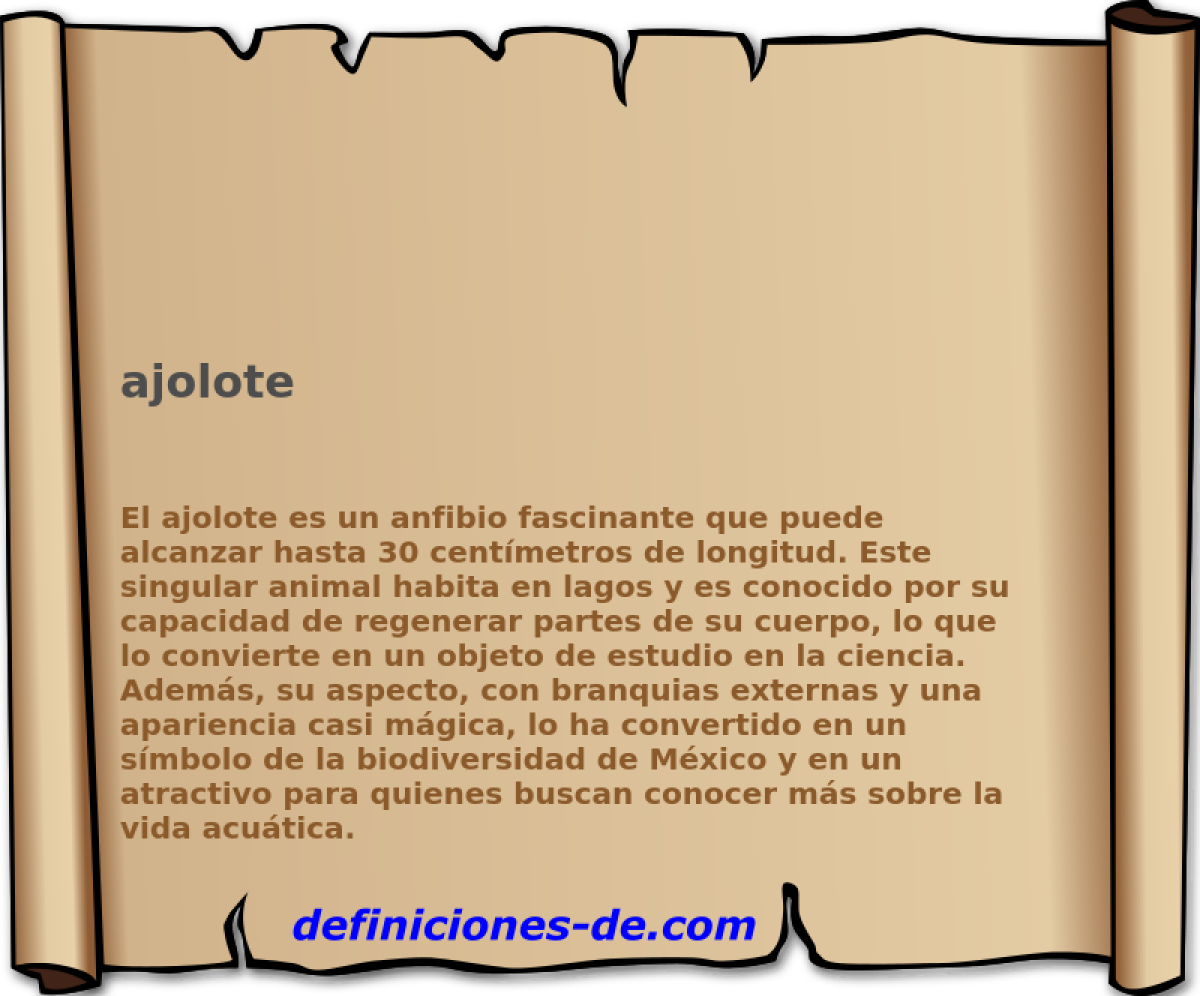 ajolote 