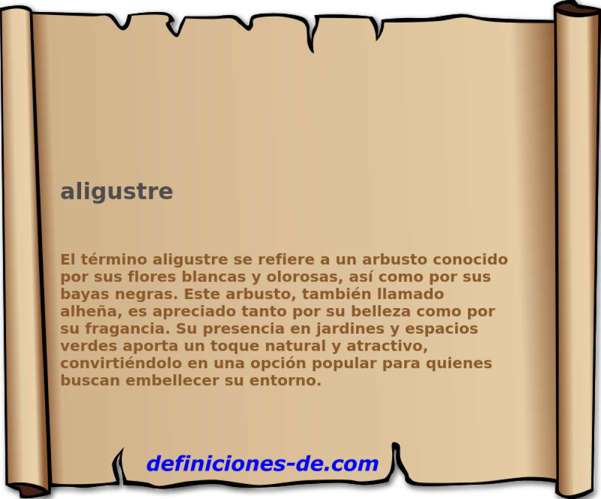 aligustre 