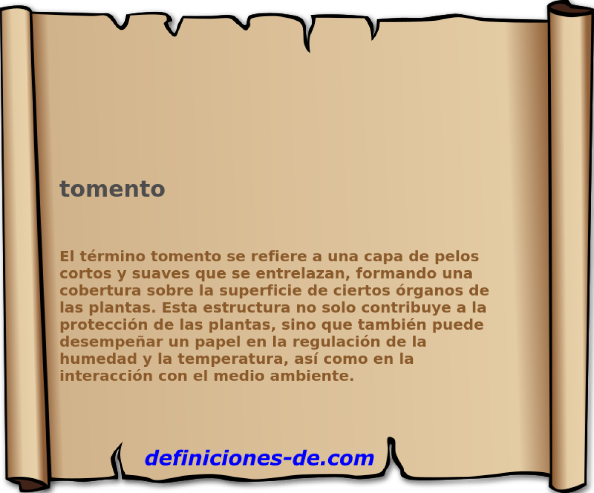 tomento 