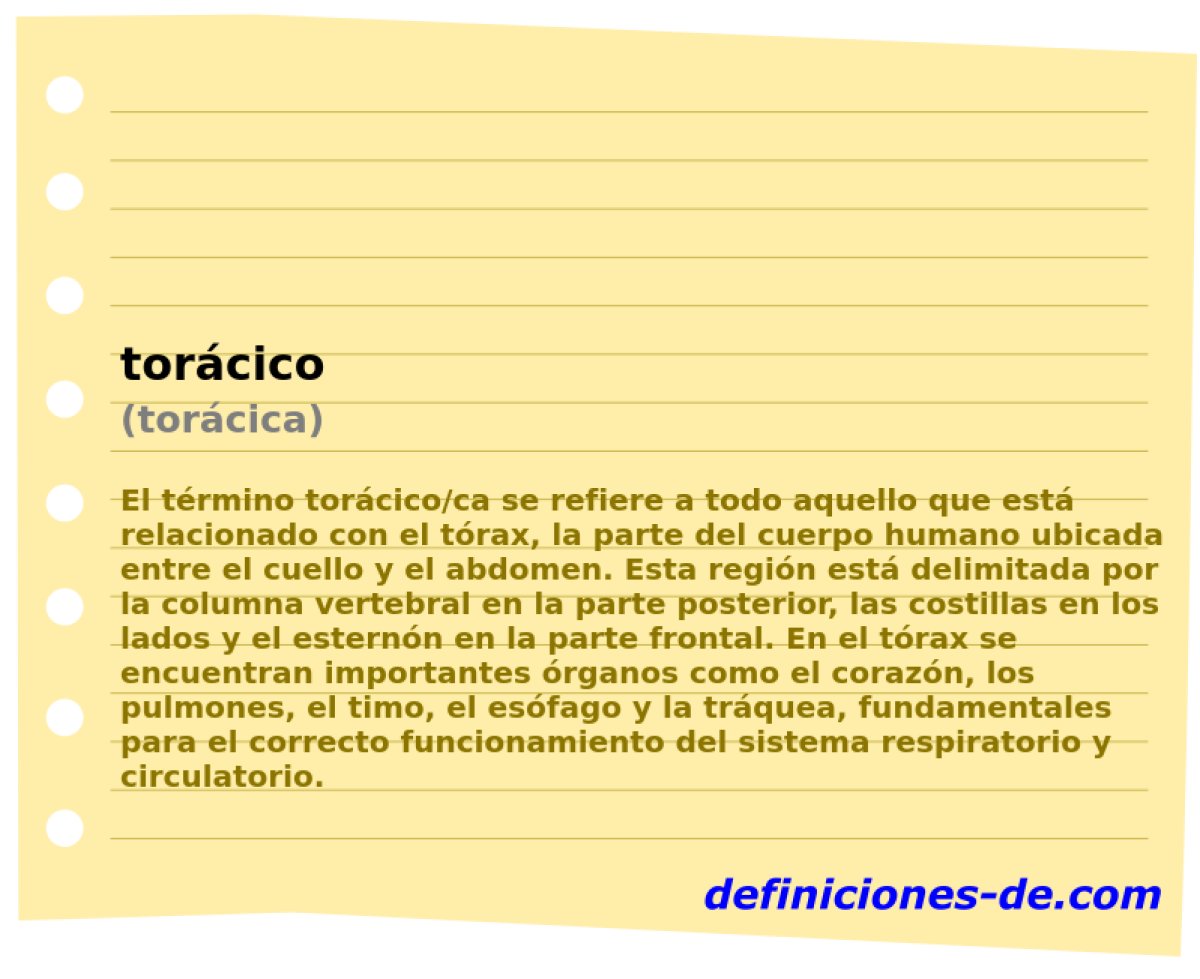 torcico (torcica)