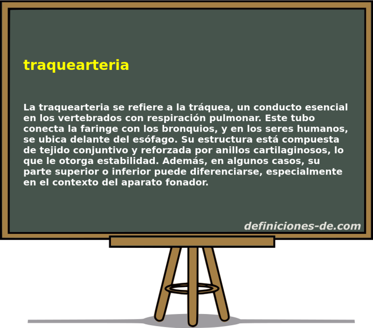 traquearteria 