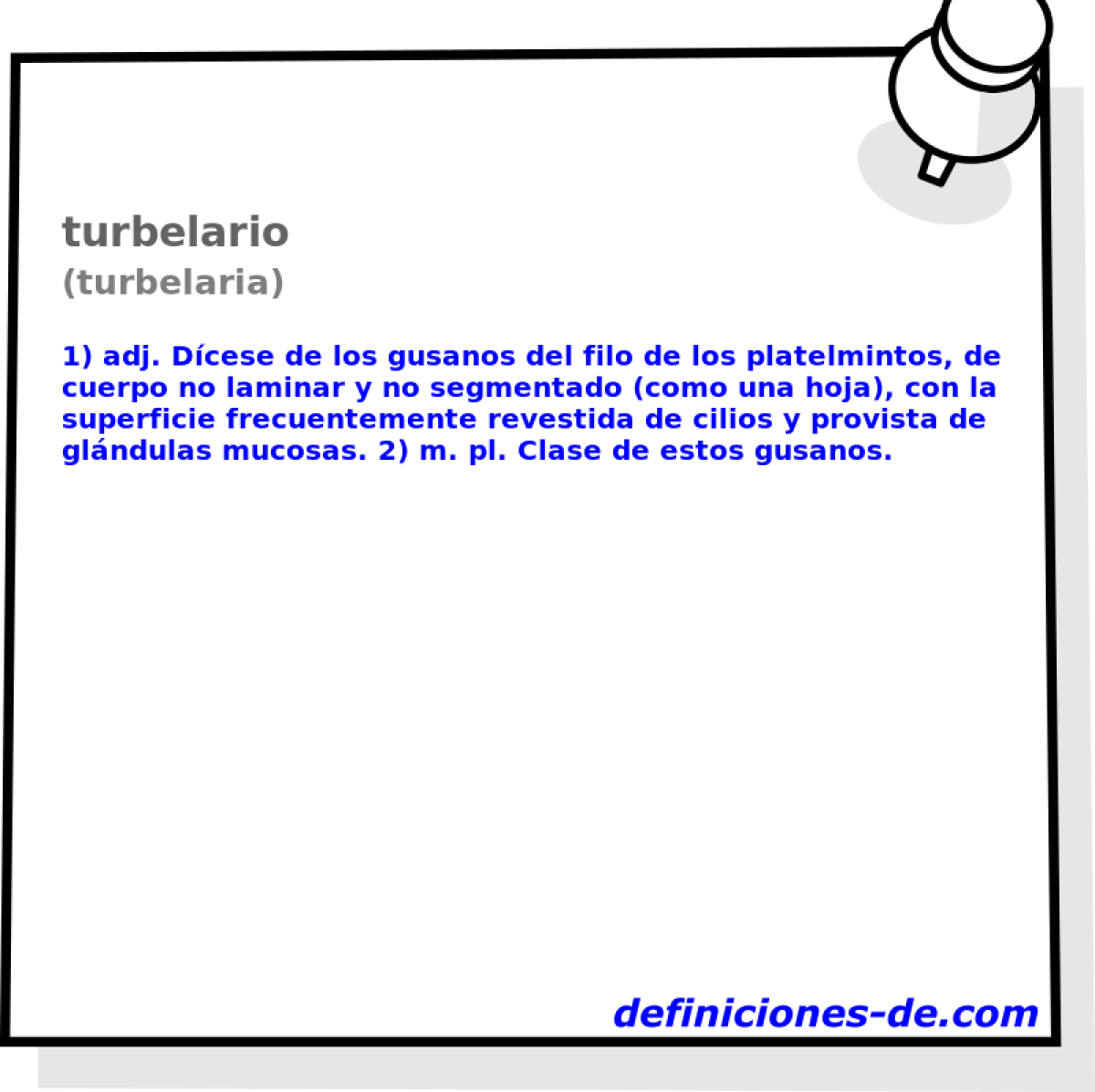 turbelario (turbelaria)