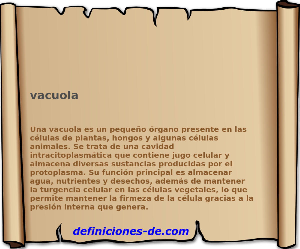 vacuola 