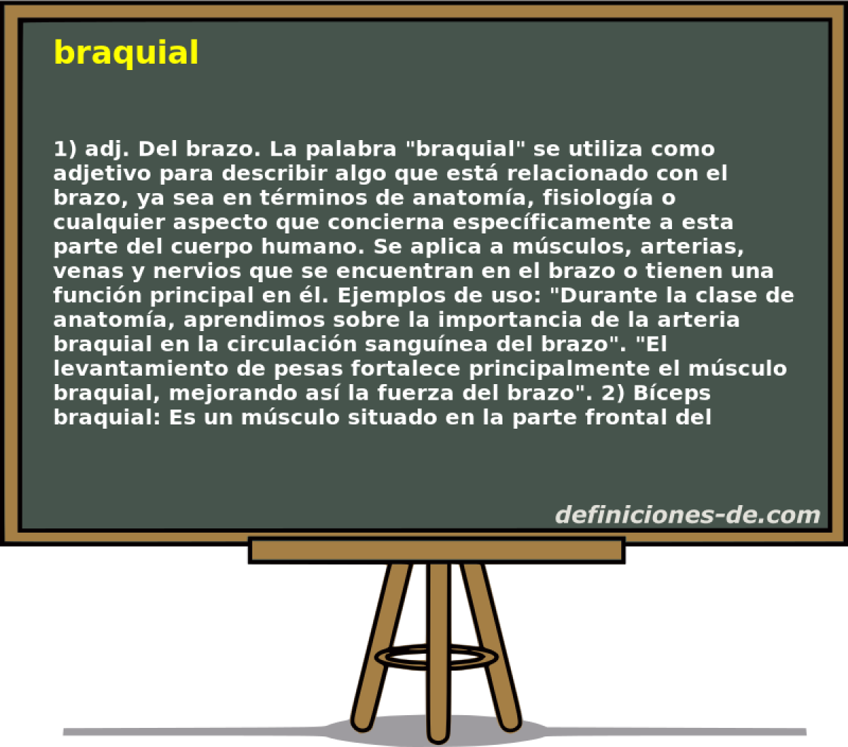 braquial 