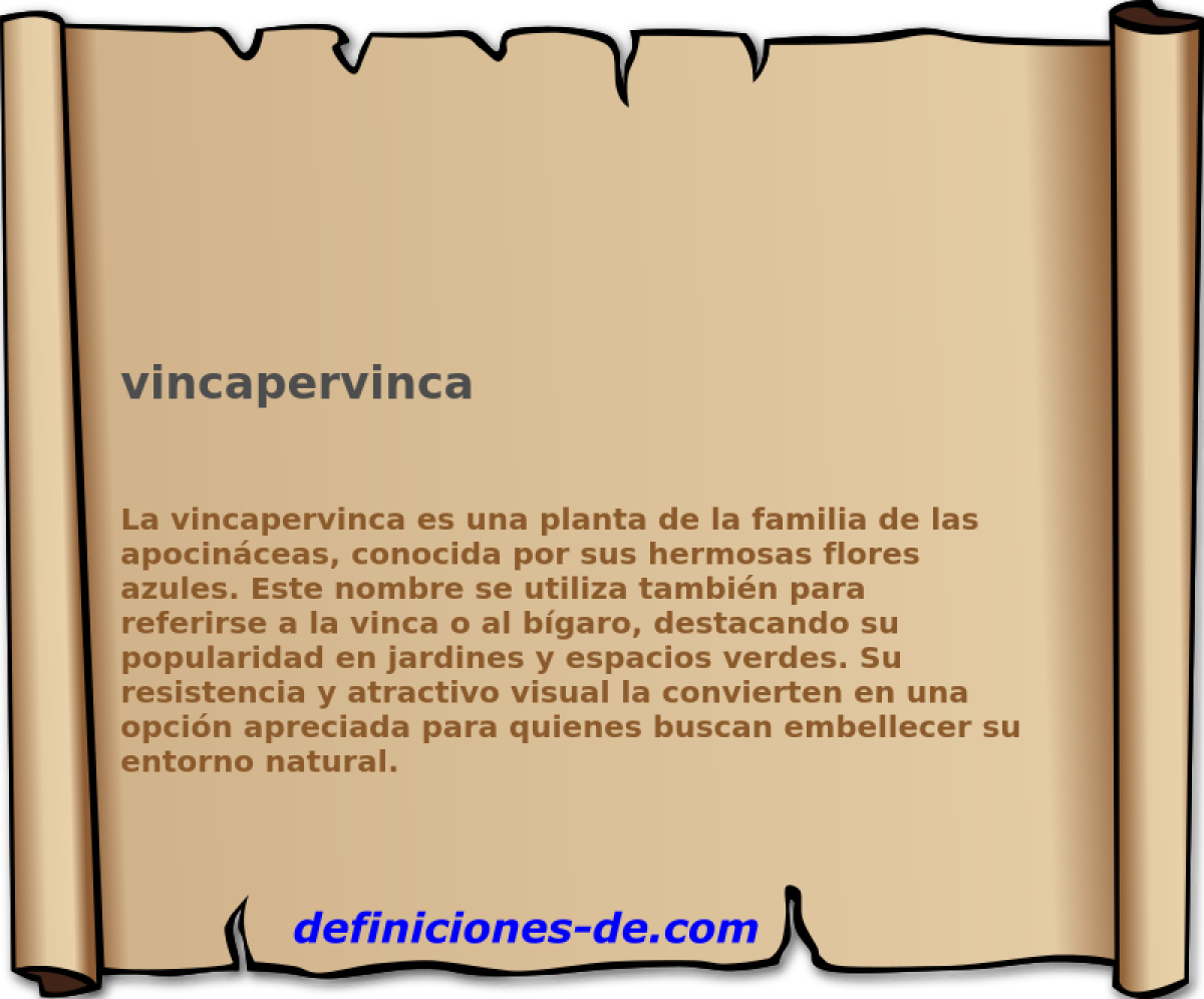 vincapervinca 