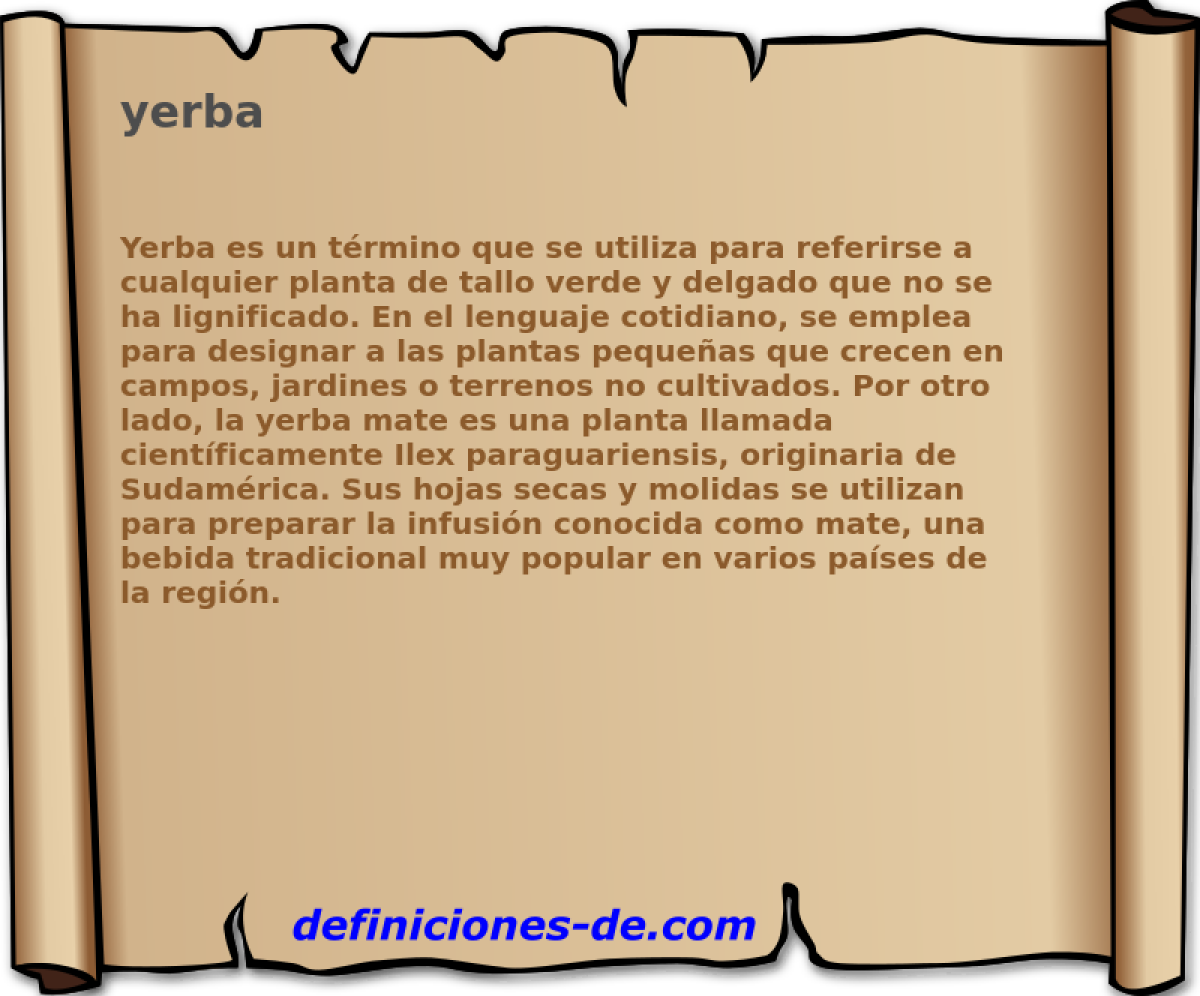 yerba 