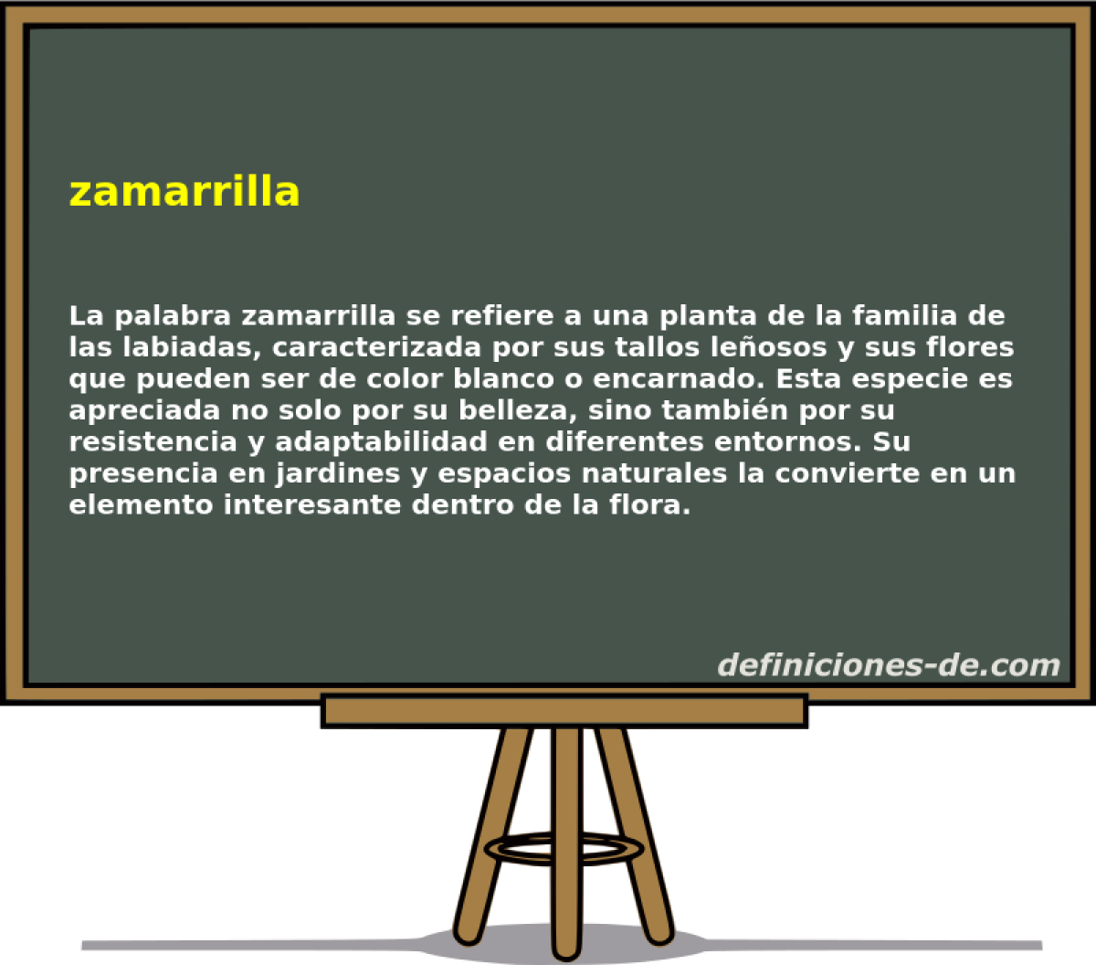 zamarrilla 