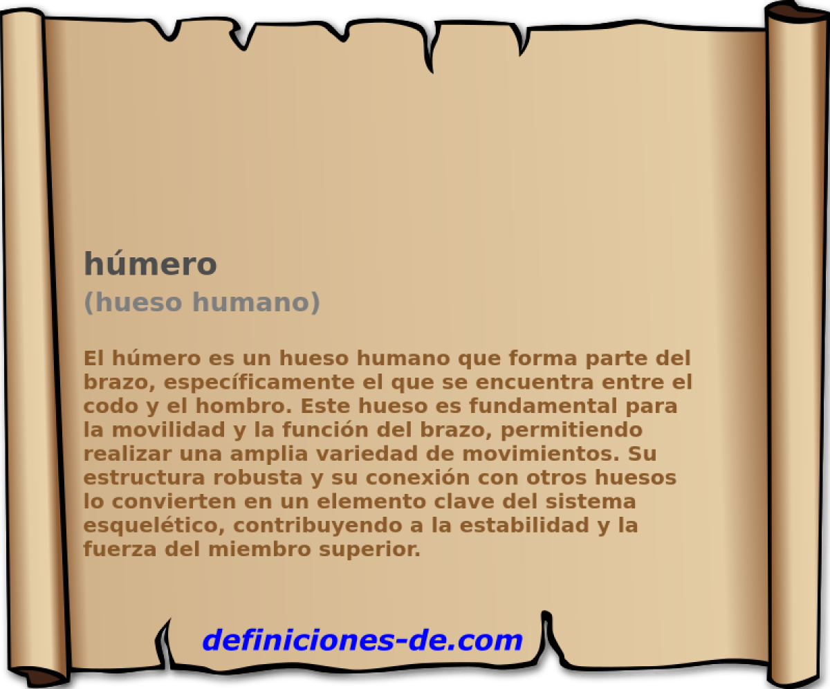 hmero (hueso humano)