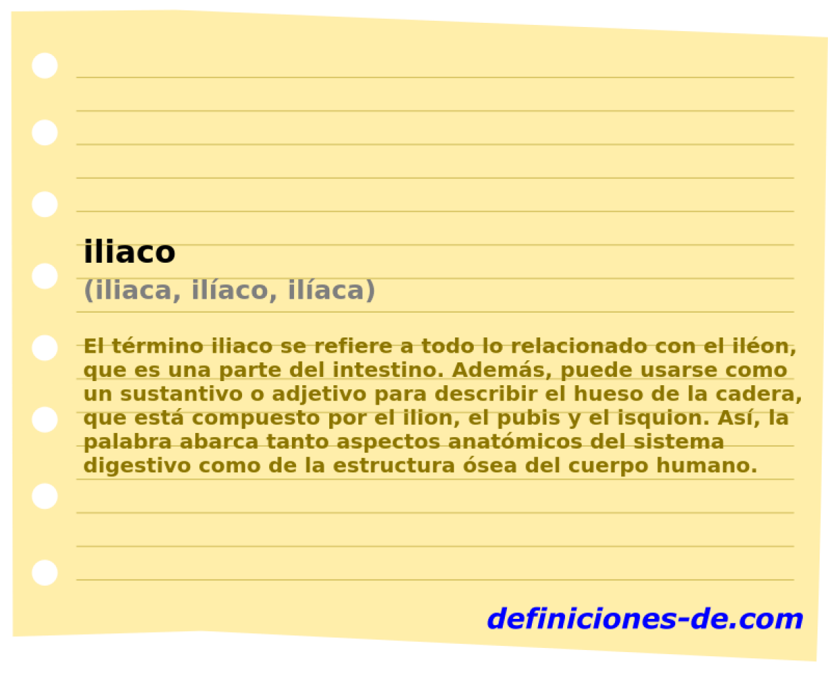 iliaco (iliaca, ilaco, ilaca)