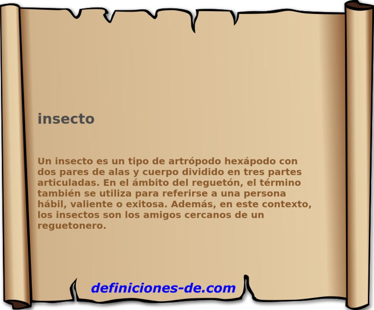 insecto 