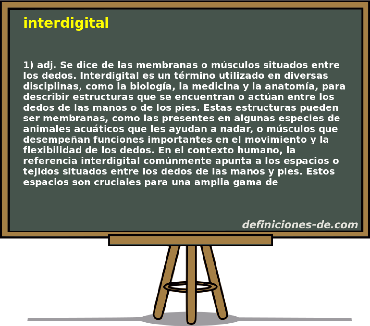 interdigital 