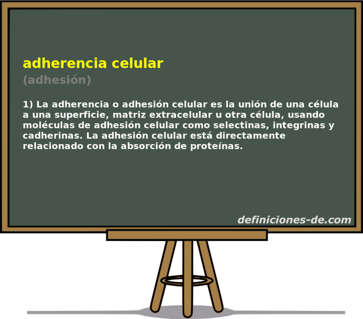 adherencia celular (adhesin)