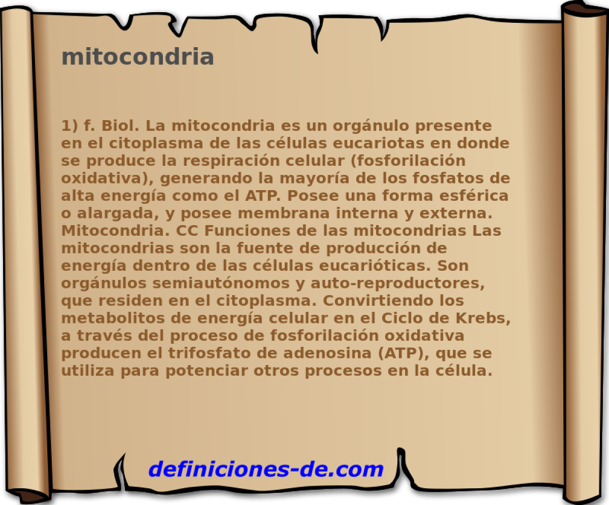 mitocondria 