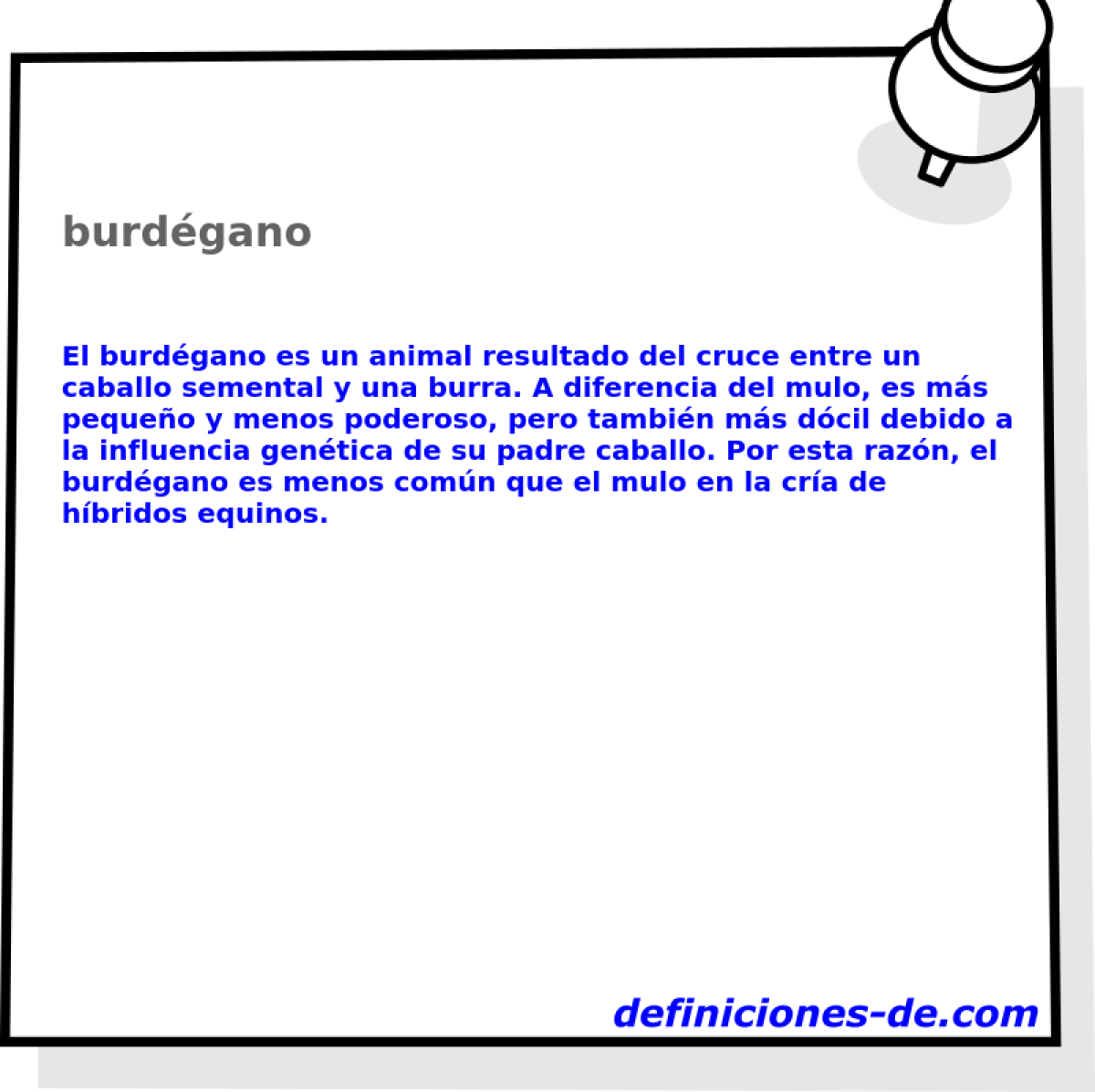 burdgano 