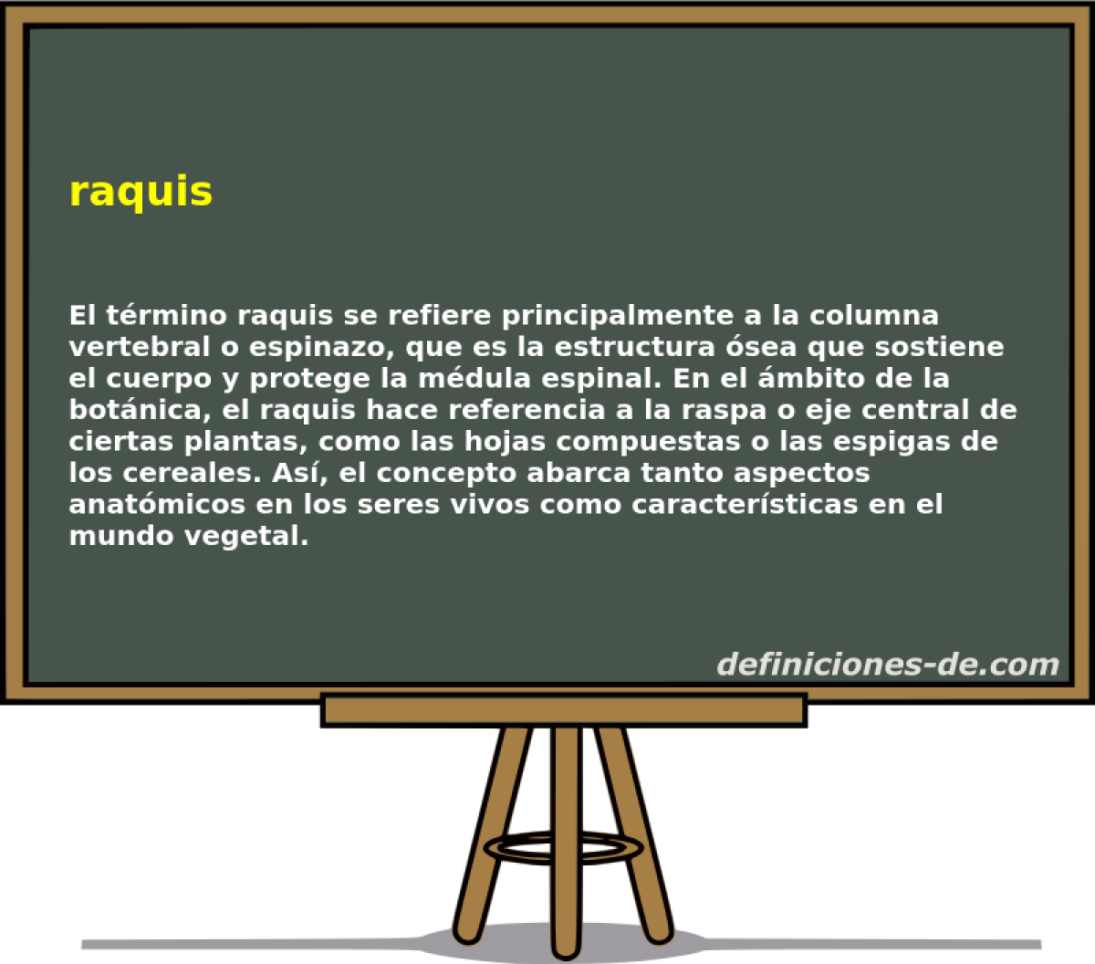 raquis 