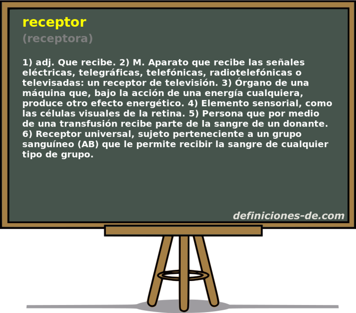 receptor (receptora)