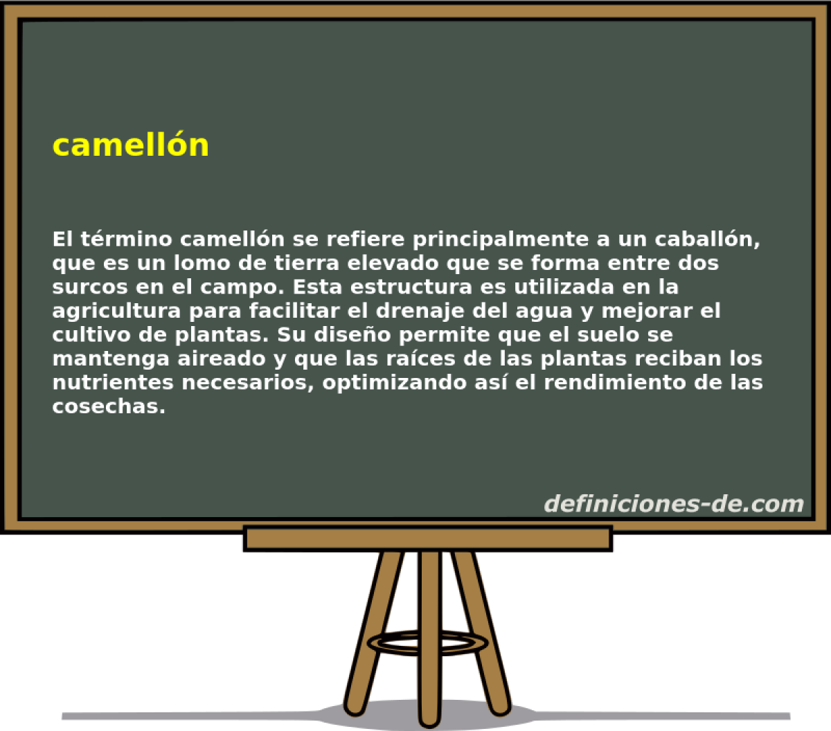 camelln 