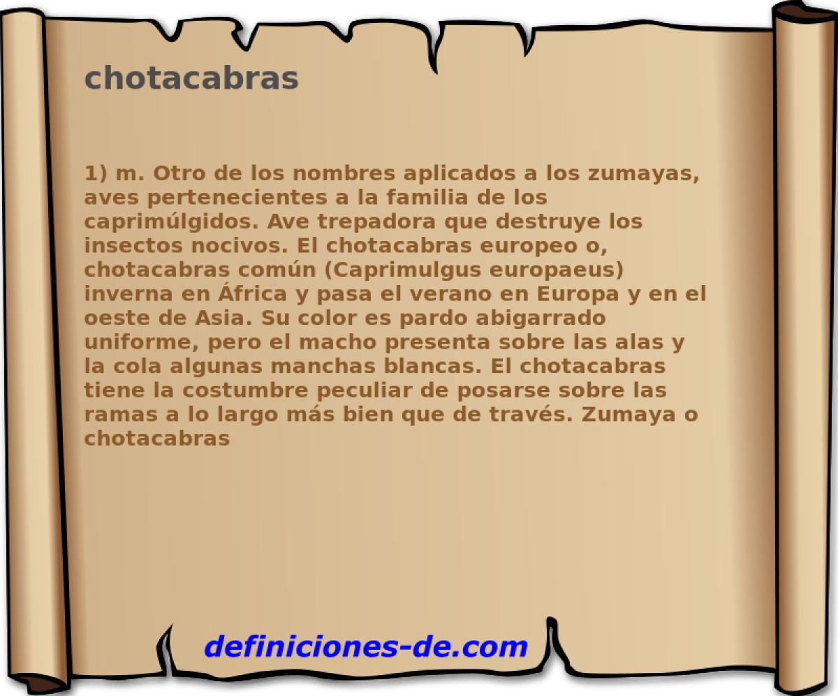 chotacabras 