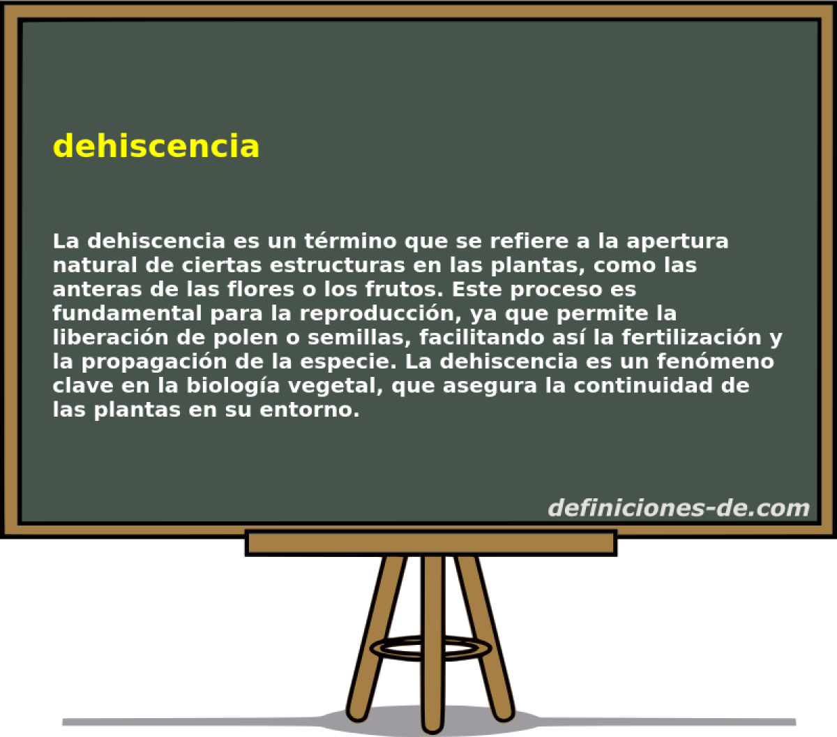 dehiscencia 