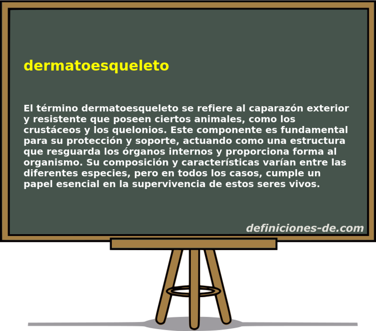 dermatoesqueleto 