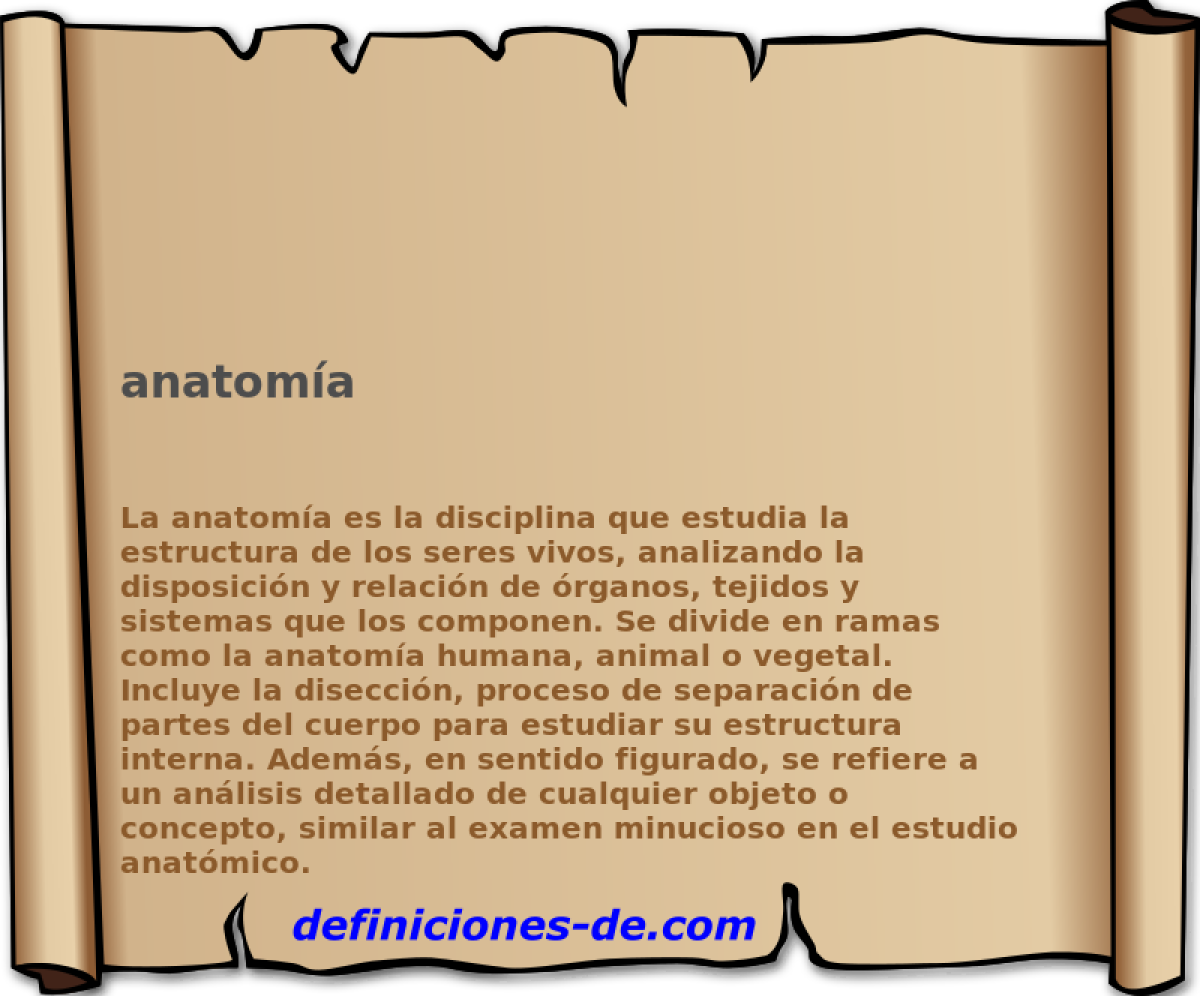 anatoma 