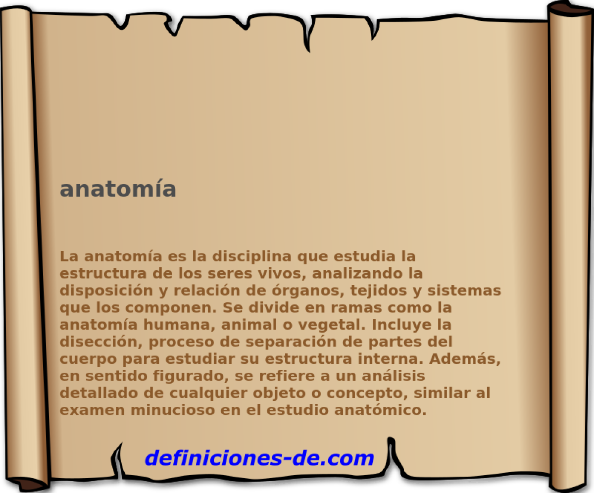 anatoma 