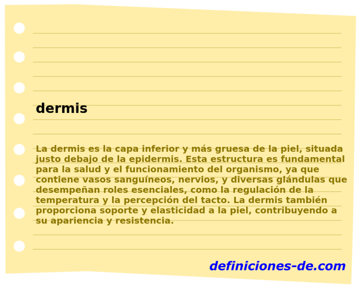 dermis 