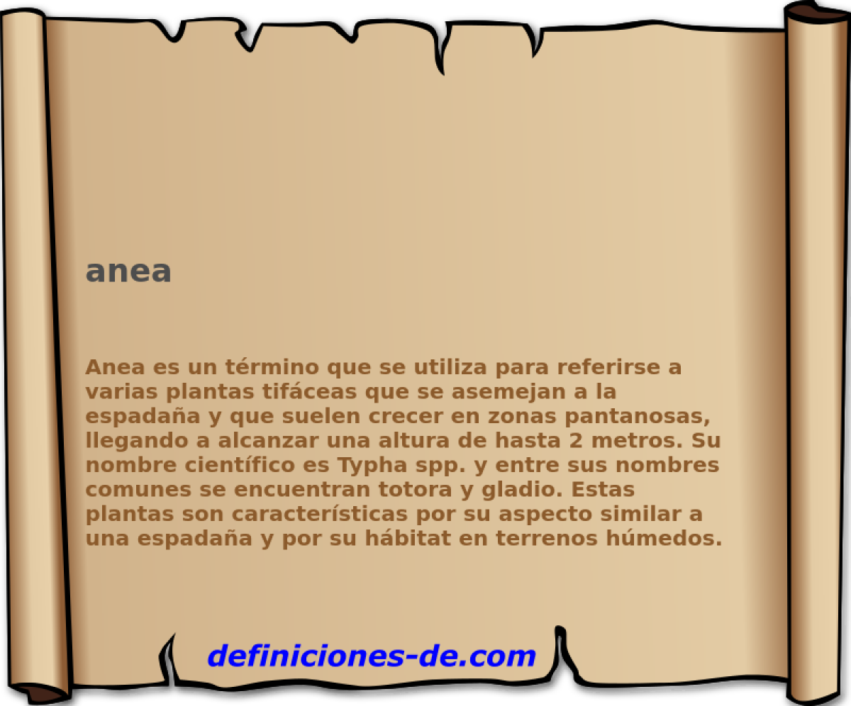 anea 