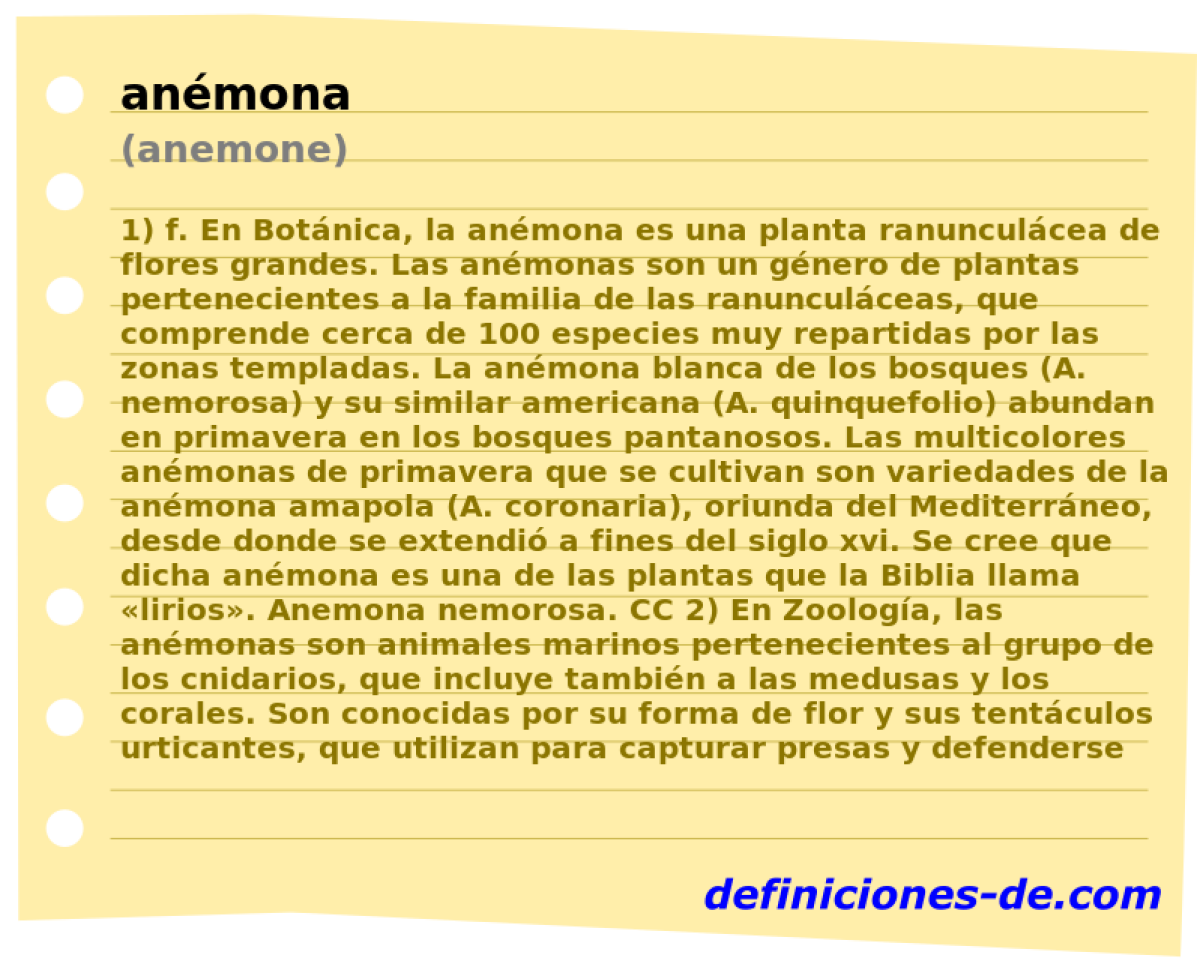 anmona (anemone)