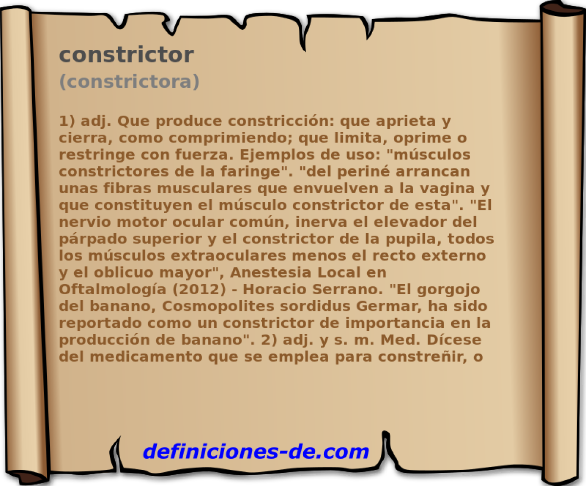 constrictor (constrictora)